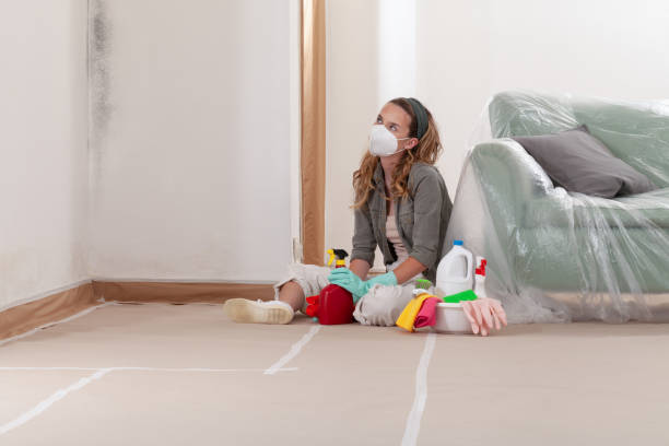 Reliable Mold Removal contractor in Gaithersburg, MD by Mold Remediation HQ